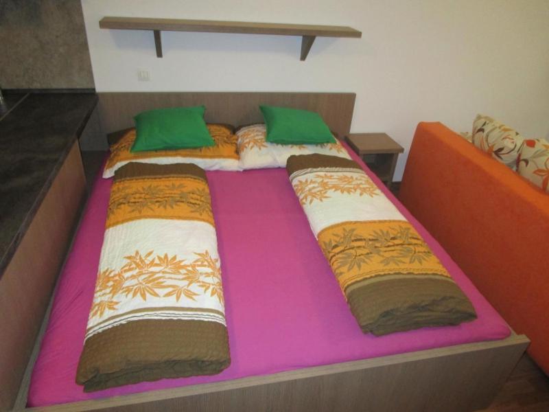 Apartman Ricky V Orlickych Horach Pustiny Экстерьер фото
