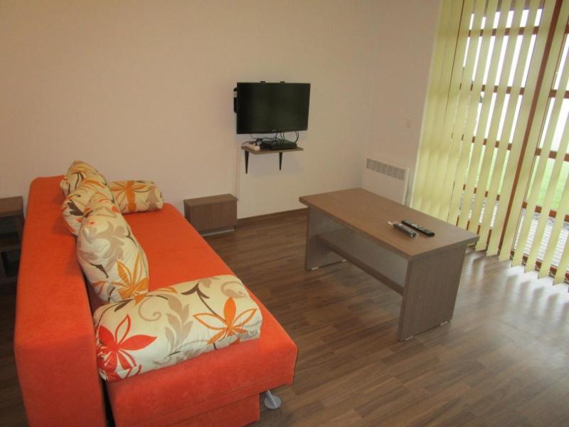 Apartman Ricky V Orlickych Horach Pustiny Экстерьер фото